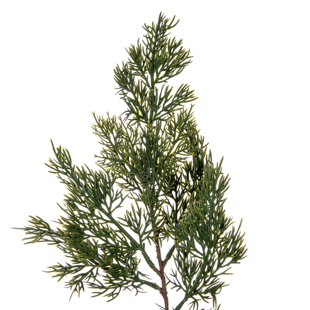 Vickerman Green Cypress Series
