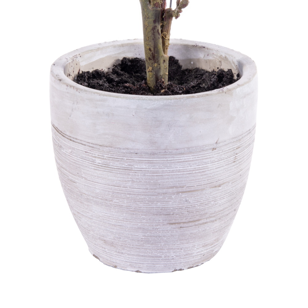 Vickerman Green Cypress Series