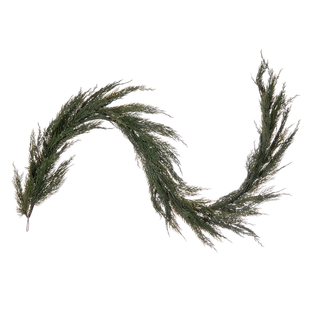 Green Cedar