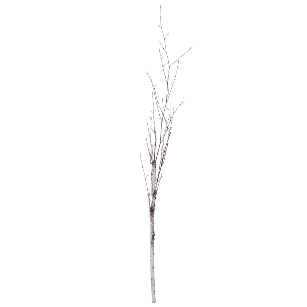 Vickerman Birch Branch Bundle of 3