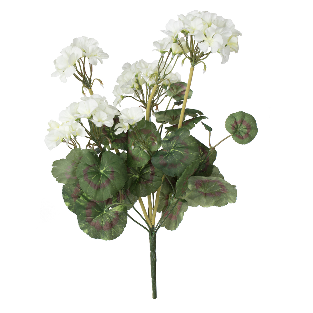 20" Geranium Bushes / 4/Pack