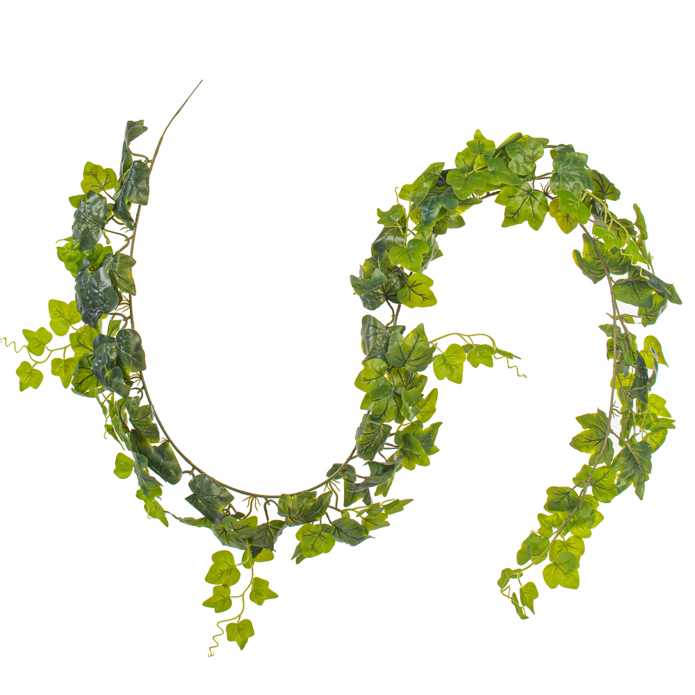 71" Green Frstd Ivy Vine RT 142 Lvs 3/pk