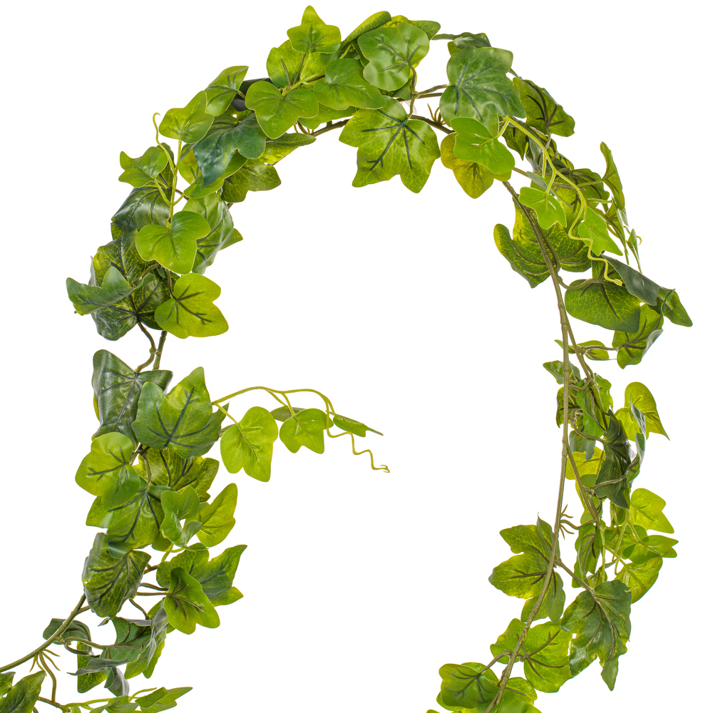 71" Green Frstd Ivy Vine RT 142 Lvs 3/pk