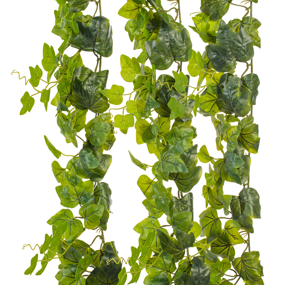 71" Green Frstd Ivy Vine RT 142 Lvs 3/pk