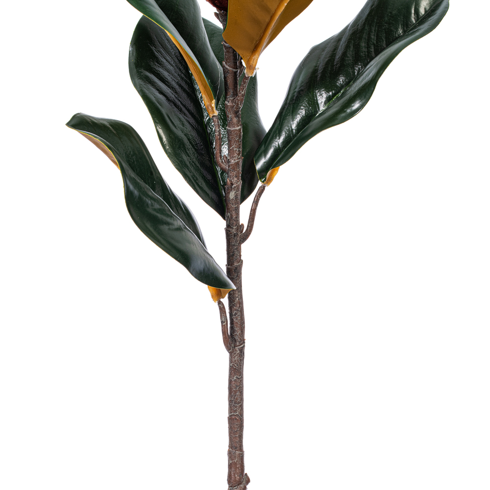 28" White Magnolia Flower Lvs Spray 2/Bg