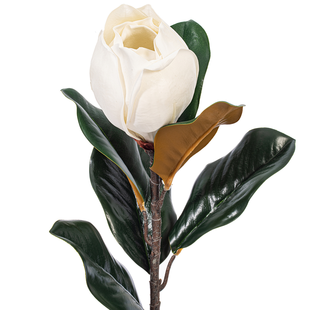 28" White Magnolia Flower Lvs Spray 2/Bg