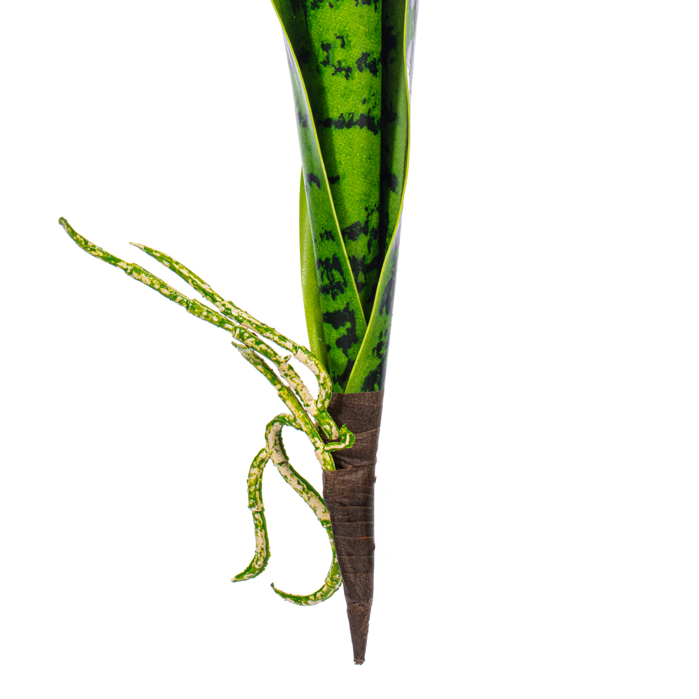 Vickerman Green Sanseveria Pick Real Touch Stem