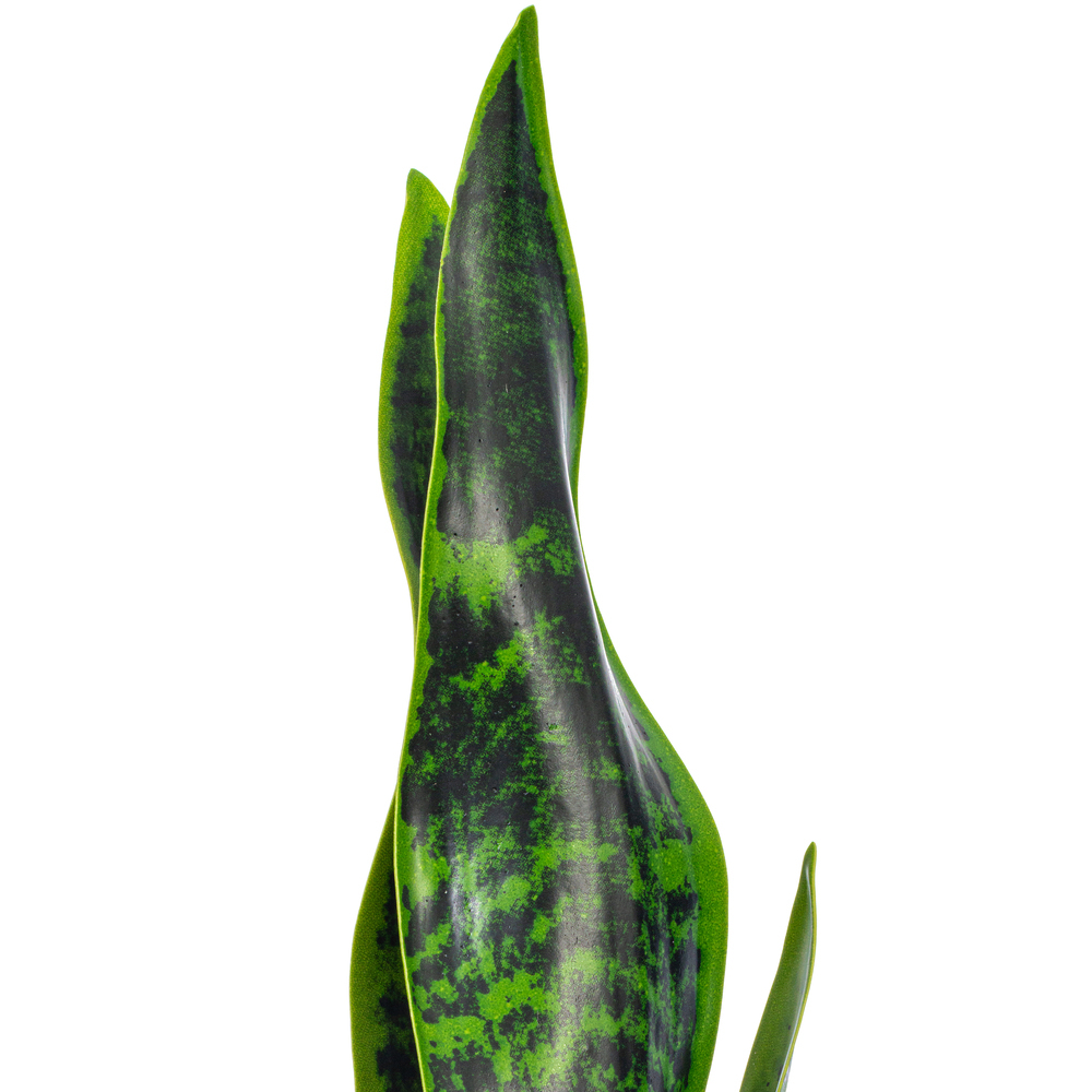 Vickerman Green Sanseveria Pick Real Touch Stem