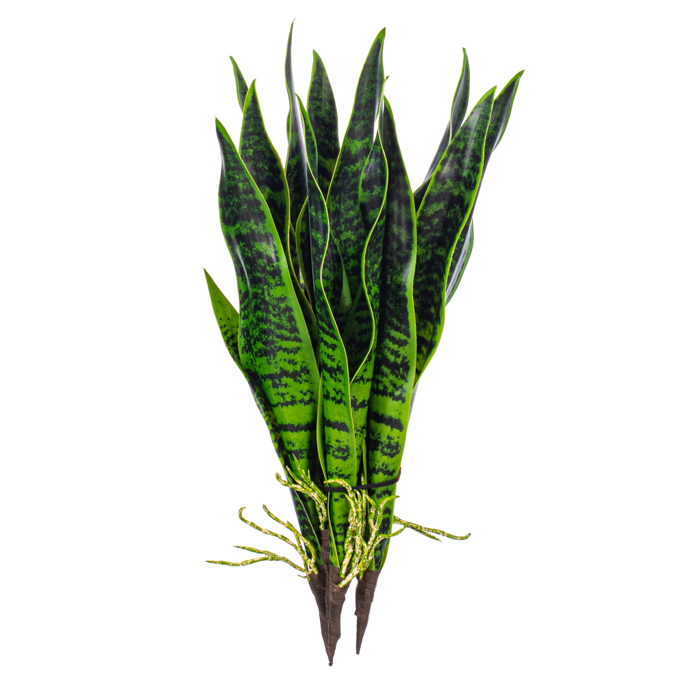 Vickerman Green Sanseveria Pick Real Touch Stem