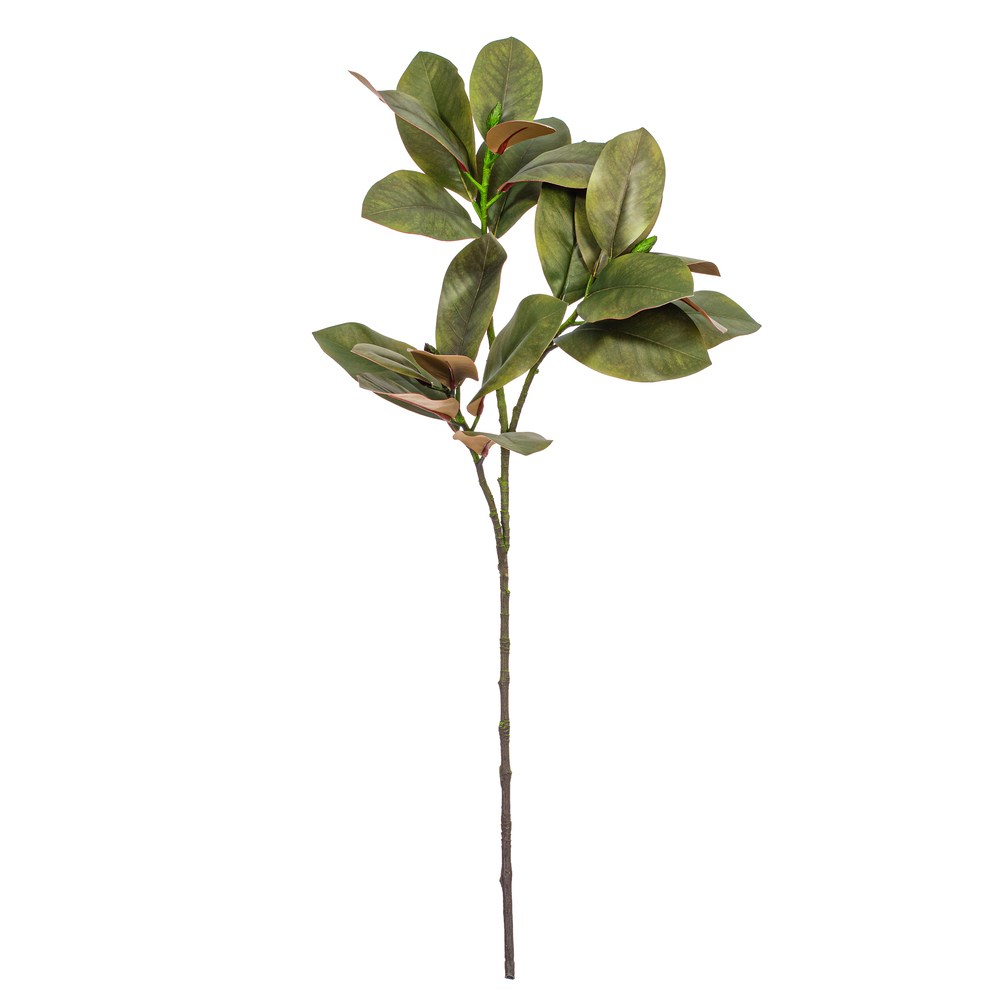 35" Green Magnolia Branch 22 Leaves 2/Bg