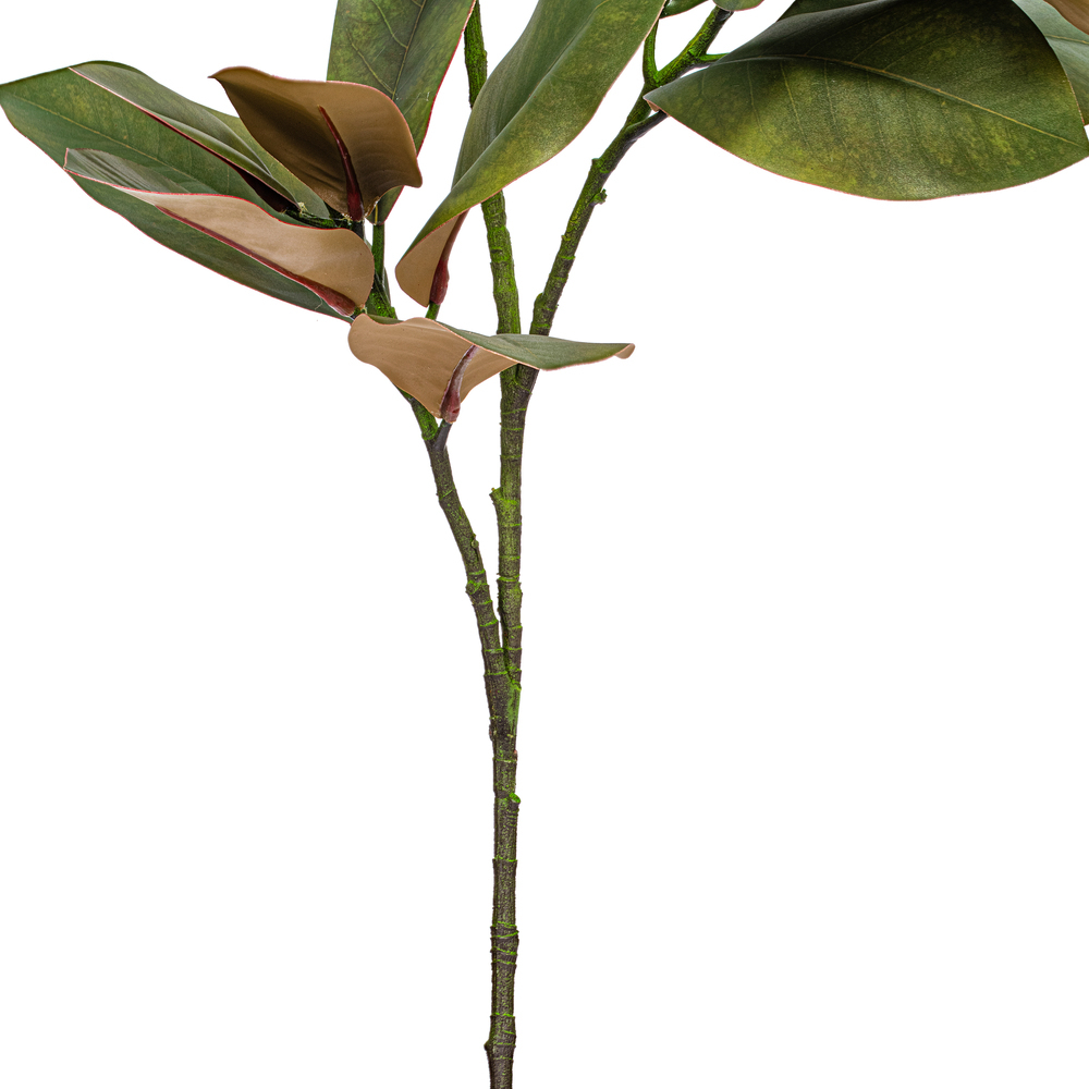 35" Green Magnolia Branch 22 Leaves 2/Bg