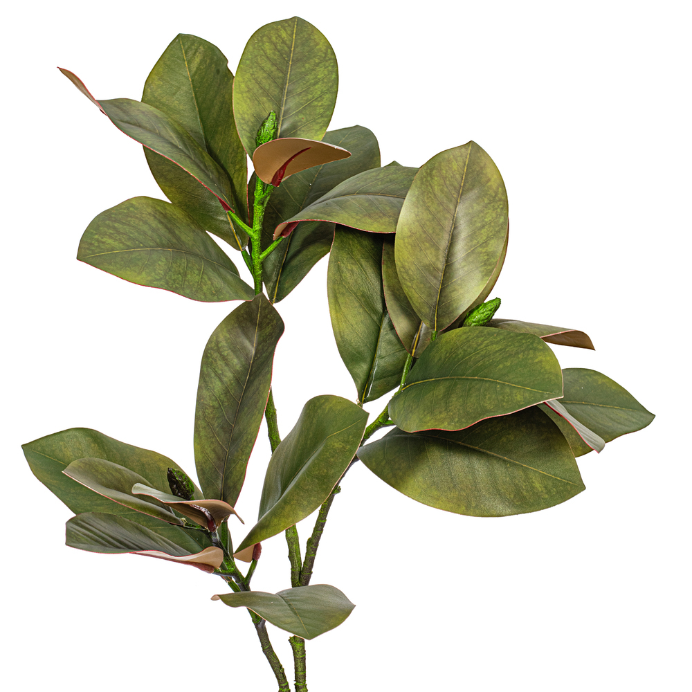 35" Green Magnolia Branch 22 Leaves 2/Bg