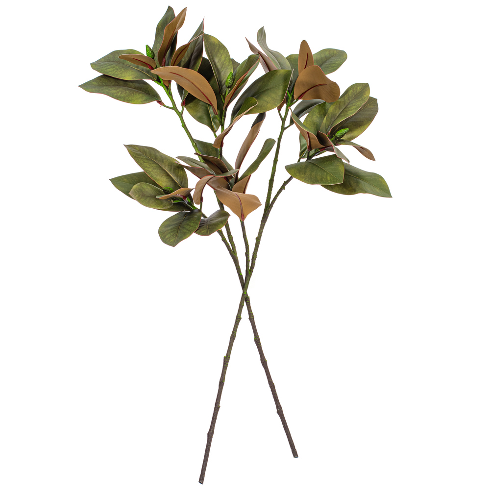 35" Green Magnolia Branch 22 Leaves 2/Bg