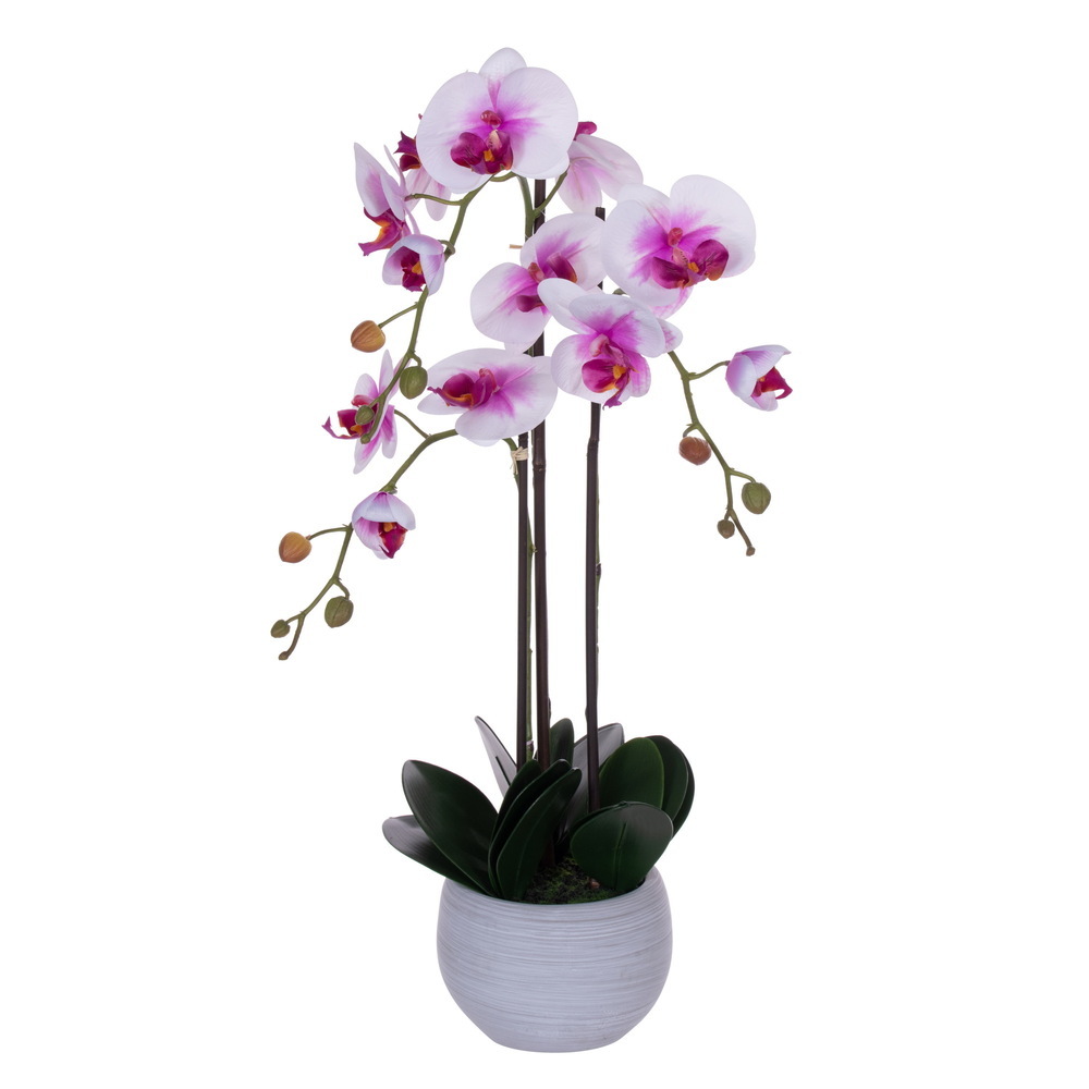 Vickerman 26" Real Touch Orchid Stem in Cement Pot