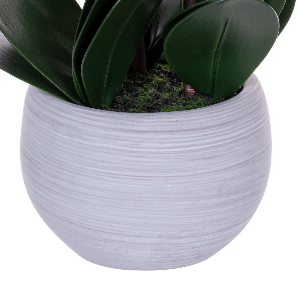 Vickerman 26" Real Touch Orchid Stem in Cement Pot