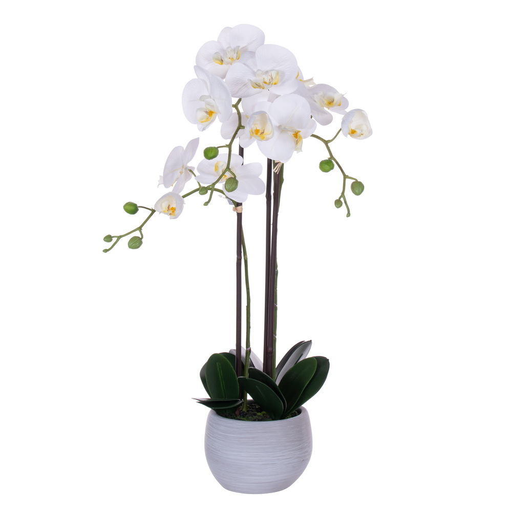 Vickerman 26" Real Touch Orchid Stem in Cement Pot