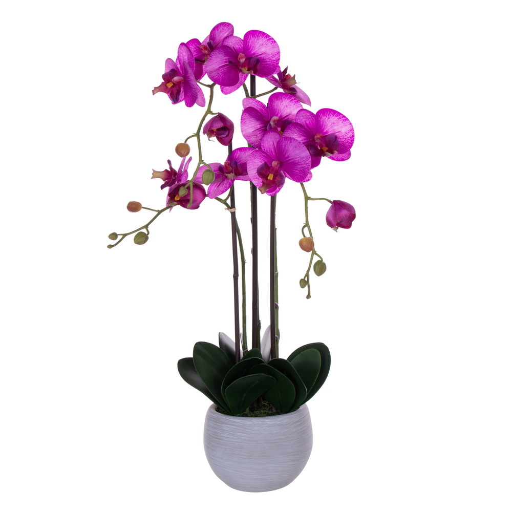 Vickerman 26" Real Touch Orchid Stem in Cement Pot