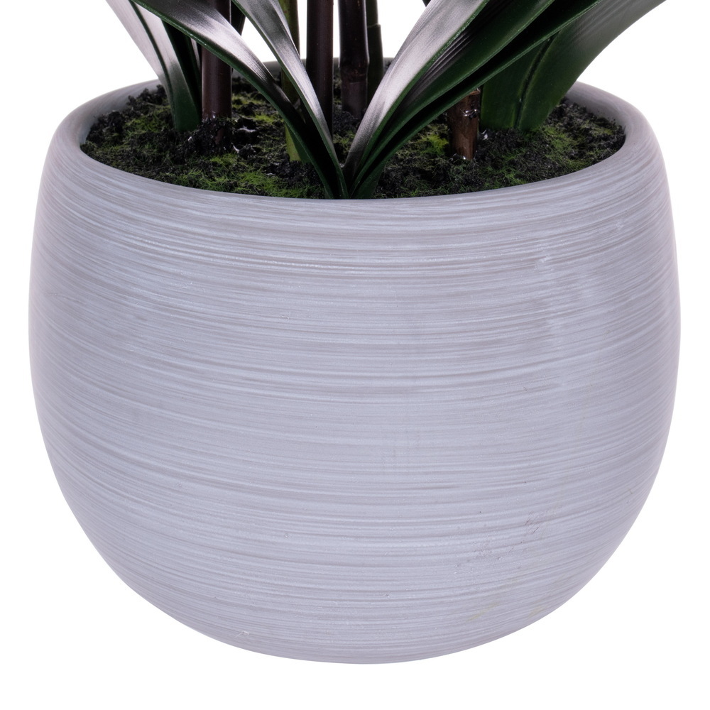 Vickerman 39" Real Touch Orchid Stem in Cement Pot