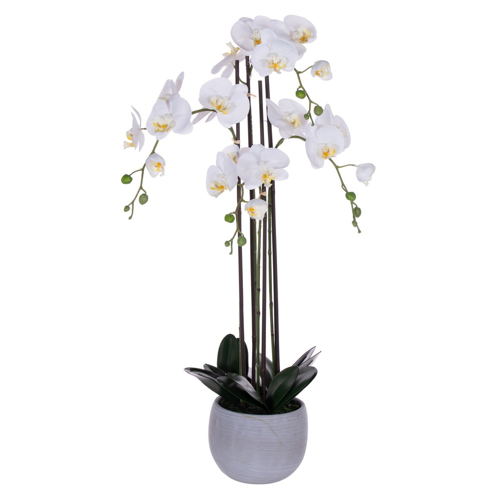 Vickerman 39" Real Touch Orchid Stem in Cement Pot