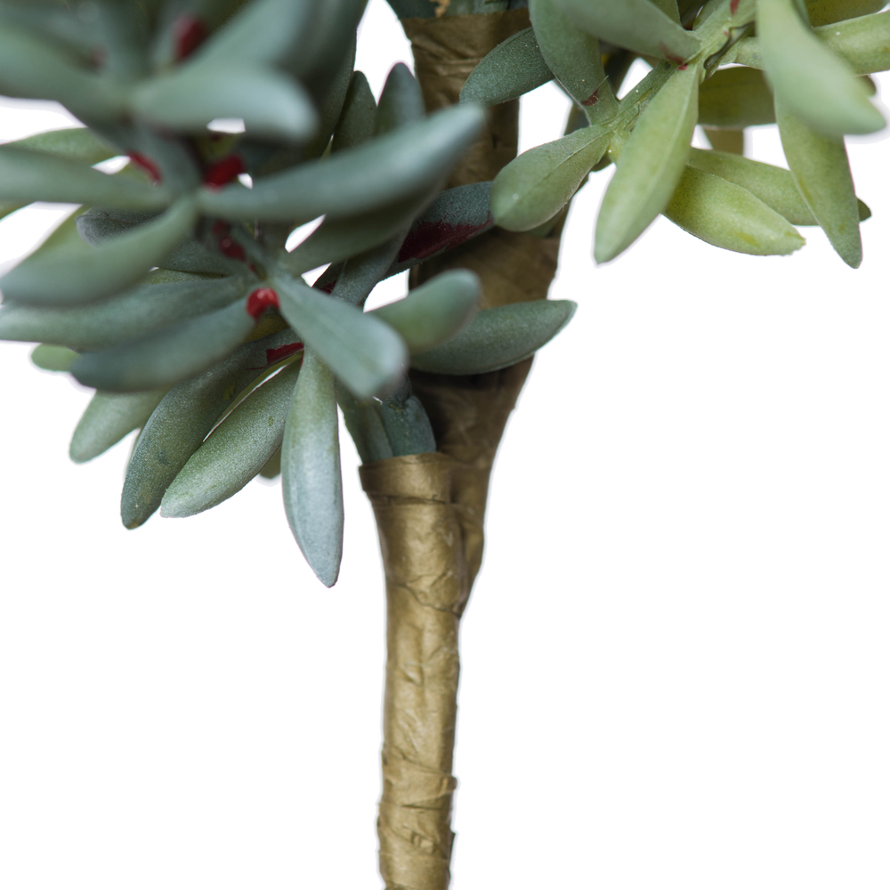 8" Sedum Pick 3/pk