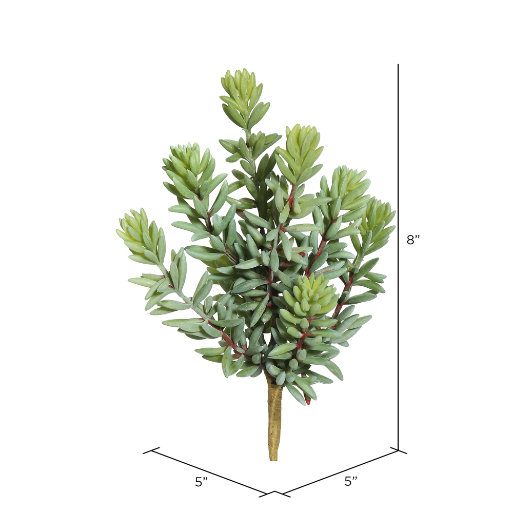 8" Sedum Pick 3/pk