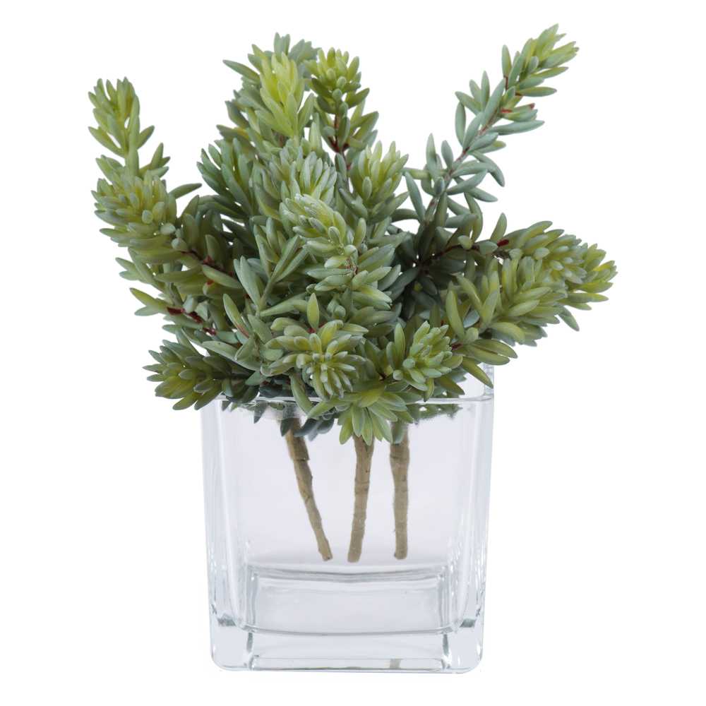 8" Sedum Pick 3/pk