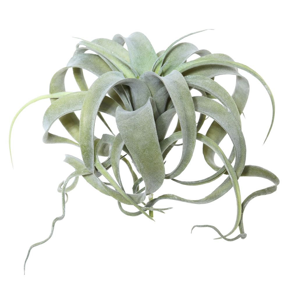 Vickerman Artificial Tillandsia Pick