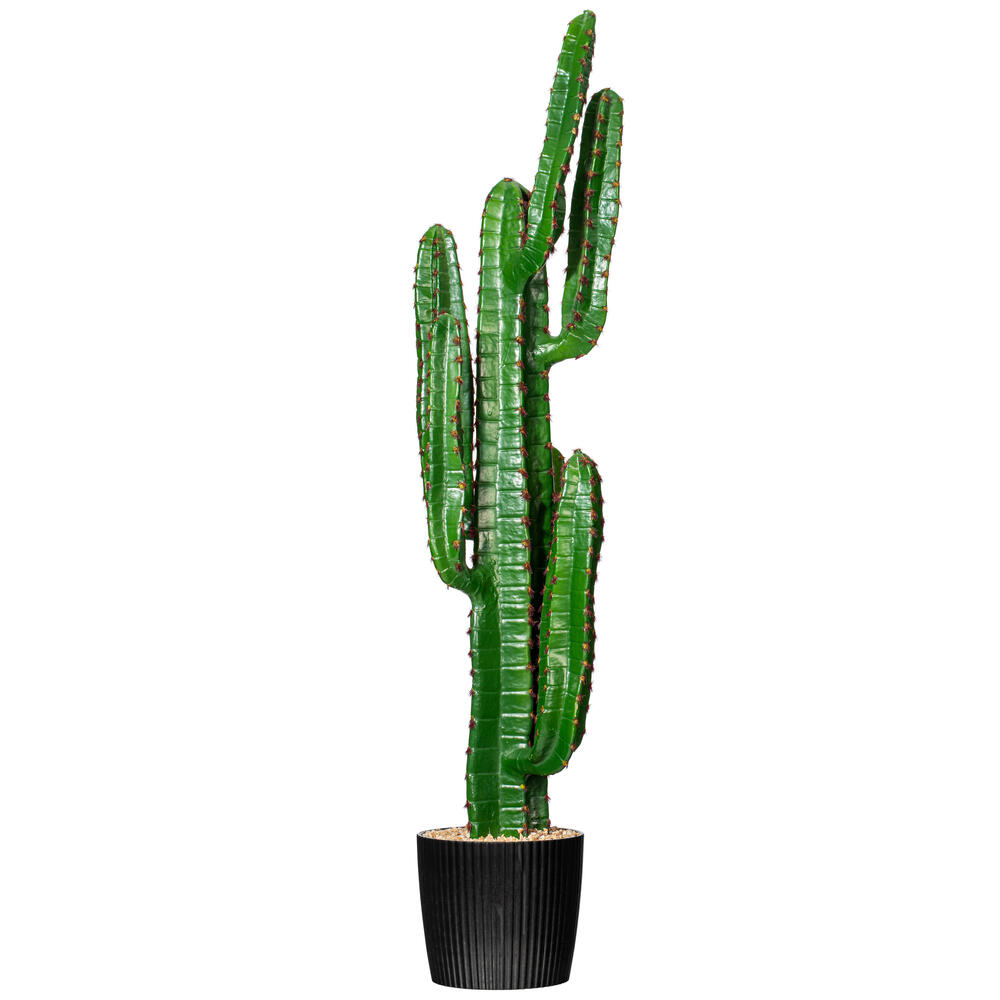 Finger Cactus