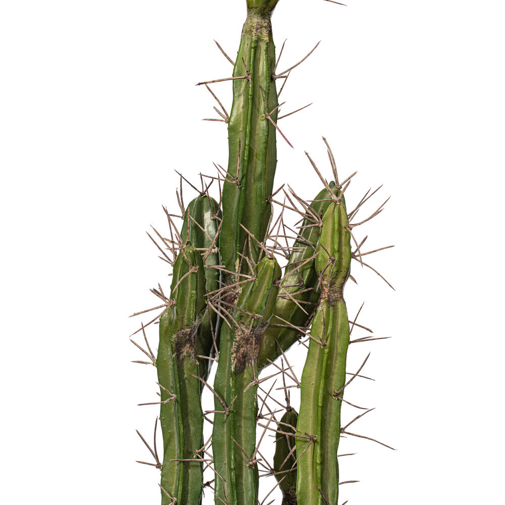 Vickerman Artificial Toothpick Cactus