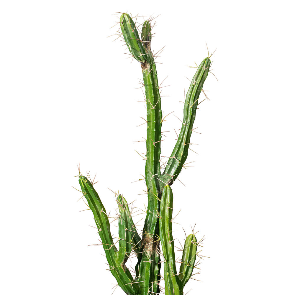 Vickerman Artificial Toothpick Cactus