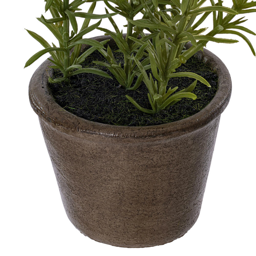 7" Green Potted Herbs Assort 3/pk