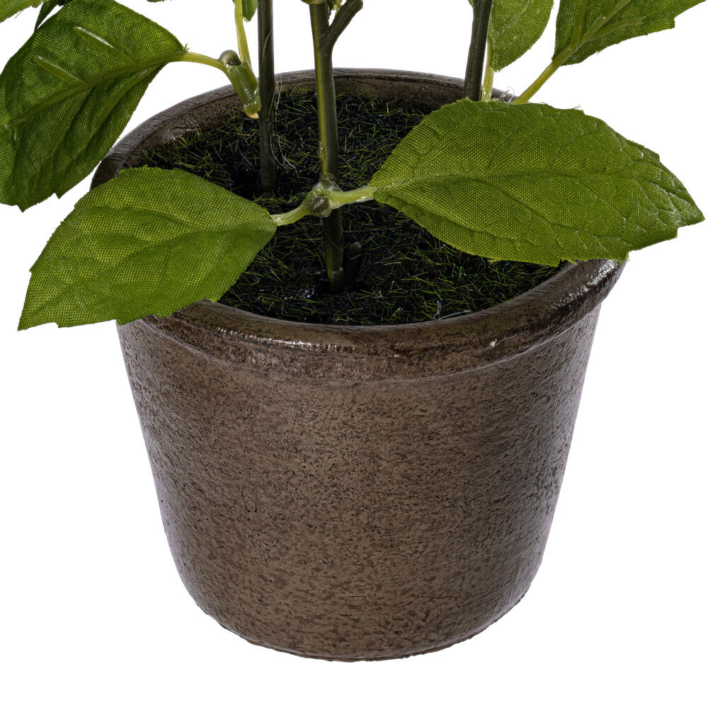 7" Green Potted Herbs Assort 3/pk