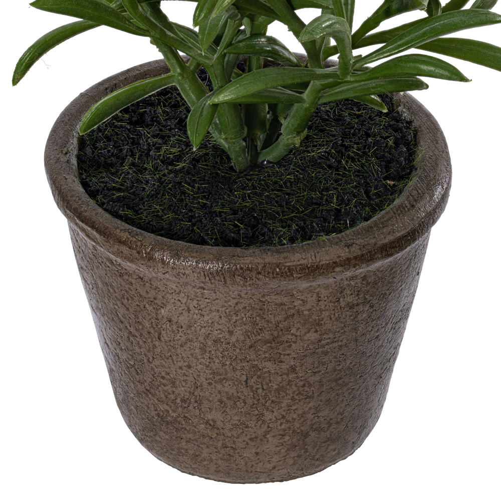 7" Green Potted Herbs Assort 3/pk