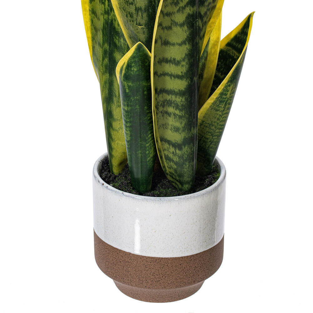 20.5" Green/Yellow Snake Plant Ceramic