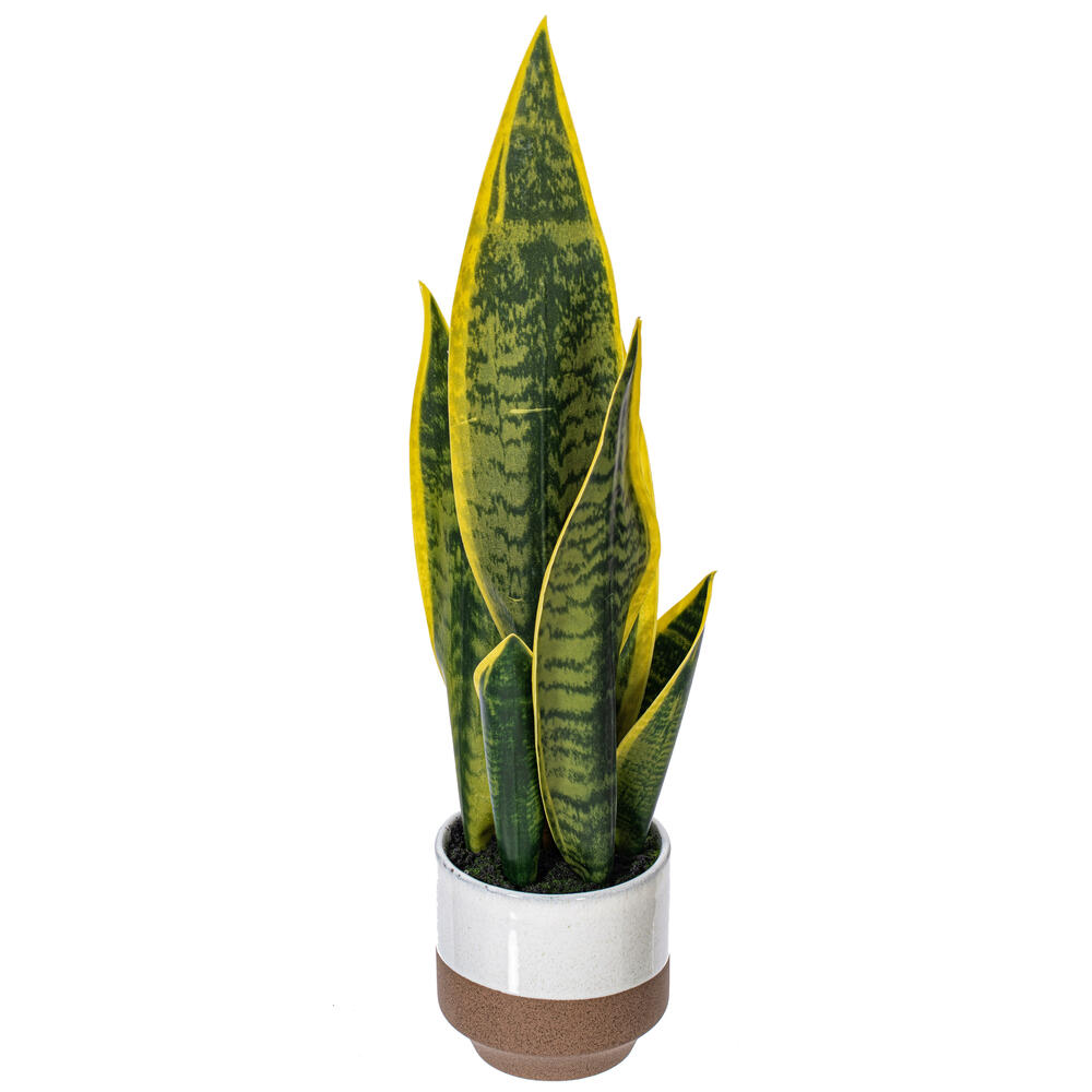 20.5" Green/Yellow Snake Plant Ceramic