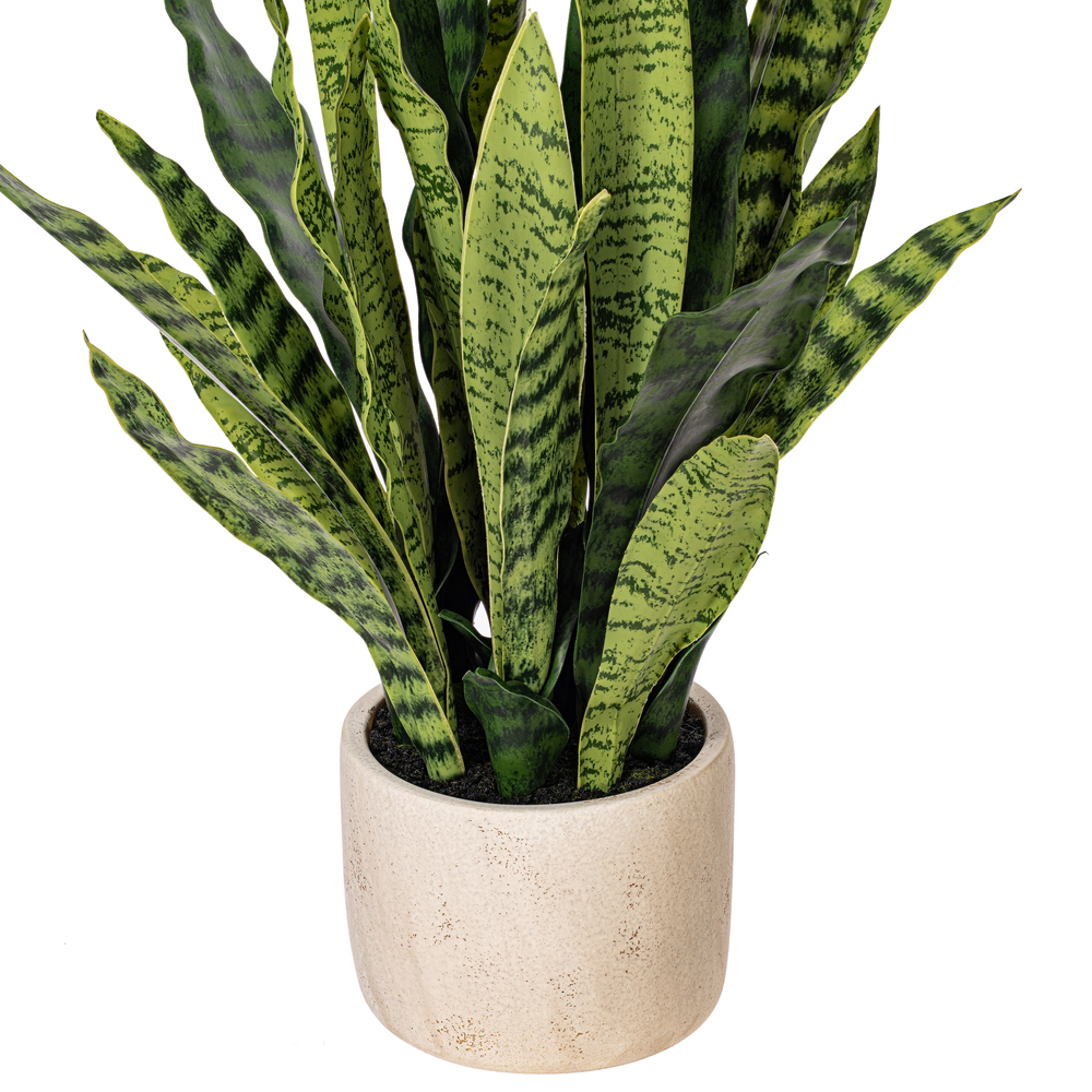 28" Green Snake Plant in Gray Cement Pot
