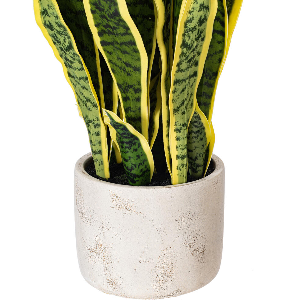28" Green/Yellow Snake Plant Cement Pot