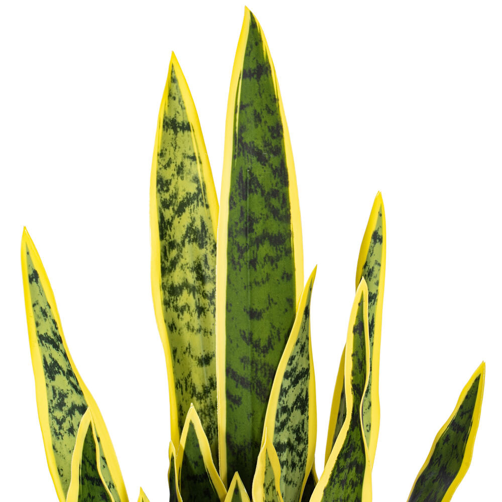 28" Green/Yellow Snake Plant Cement Pot