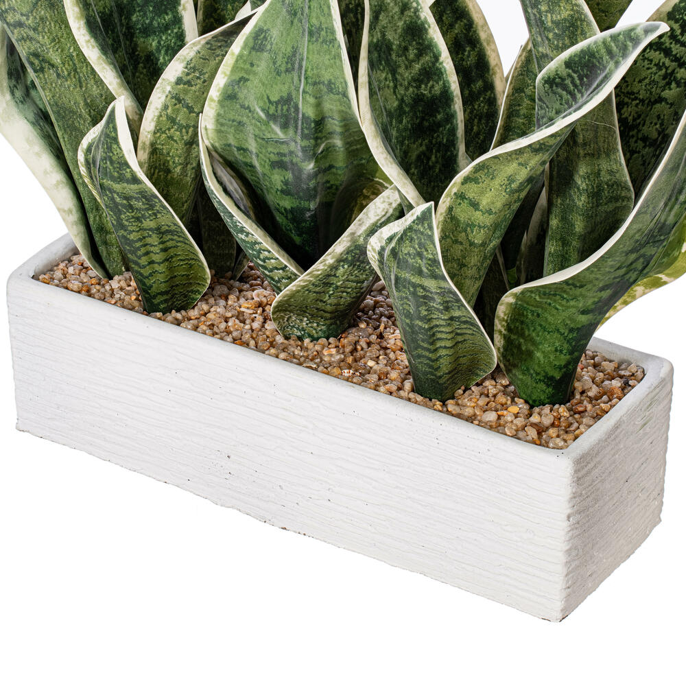 15" Green Snake Plant White Cement Pot