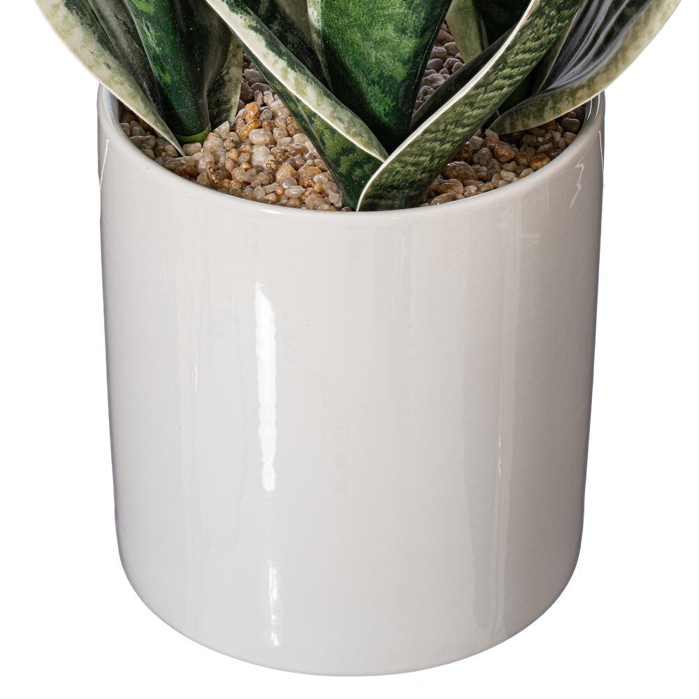 25" Green Snake Plant in Ceramic Pot