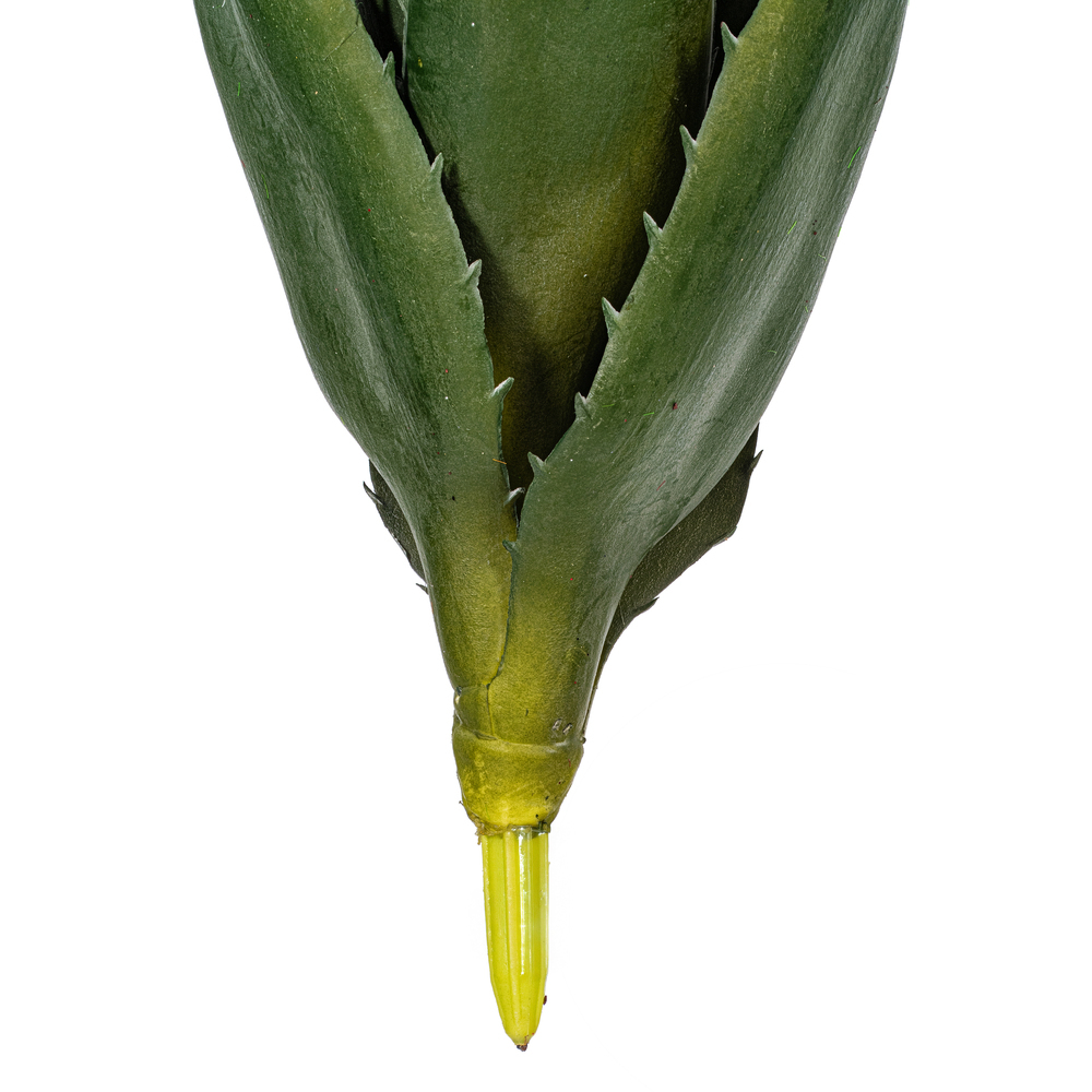 Vickerman Artificial Green Aloe Vera Pick, 3 per Bag.