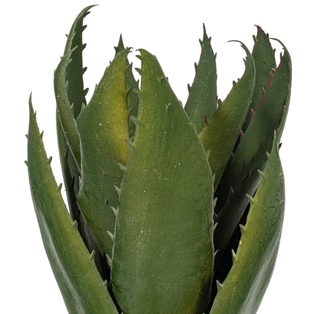 Vickerman Artificial Green Aloe Vera Pick, 3 per Bag.