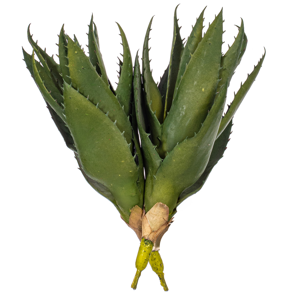 Vickerman Artificial Green Aloe Vera Pick, 2 per Bag.