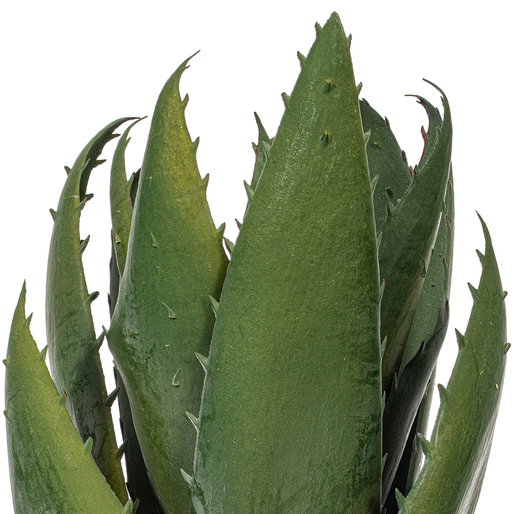Vickerman Artificial Green Aloe Vera Pick, 2 per Bag.
