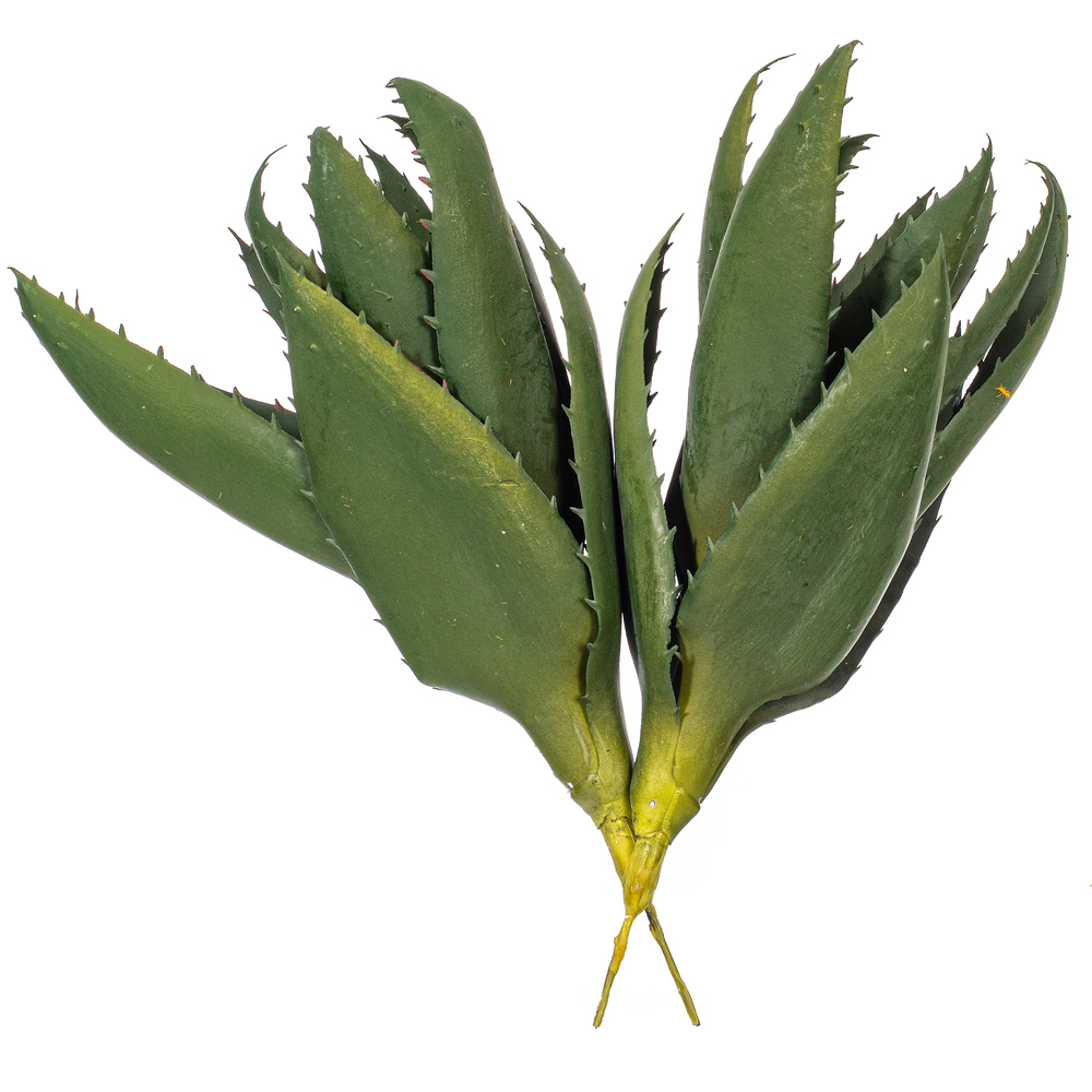Vickerman Artificial Green Aloe Vera Pick, 2 per Bag.