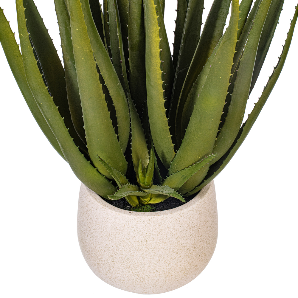 19.5" Green Aloe Plant in Cement Pot