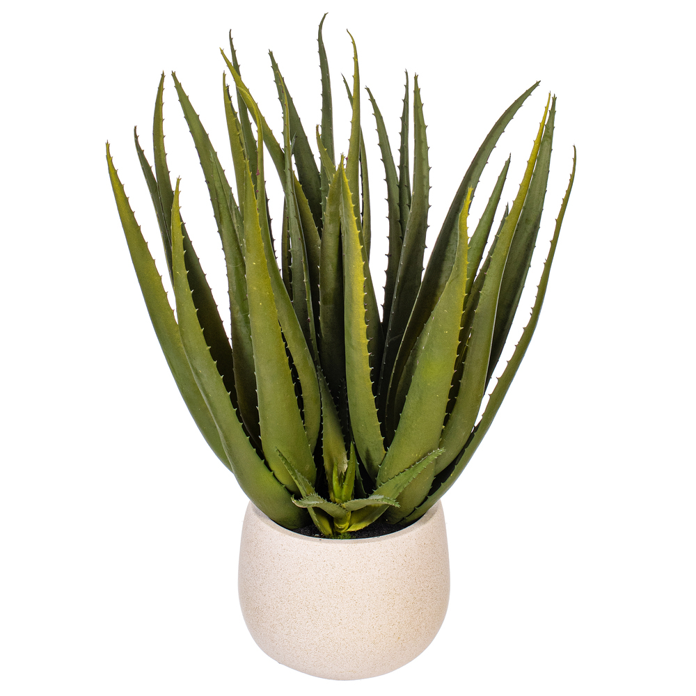19.5" Green Aloe Plant in Cement Pot