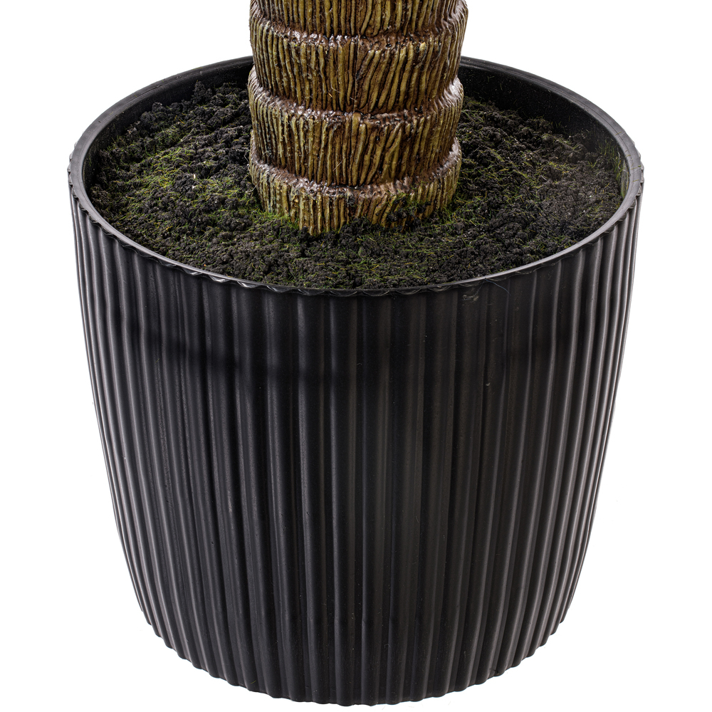 Vickerman Green Nolina Plant in Pot