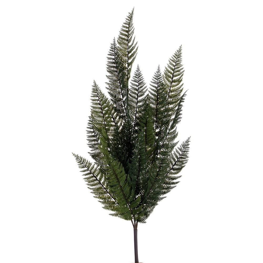 Vickerman Green Fern Spray