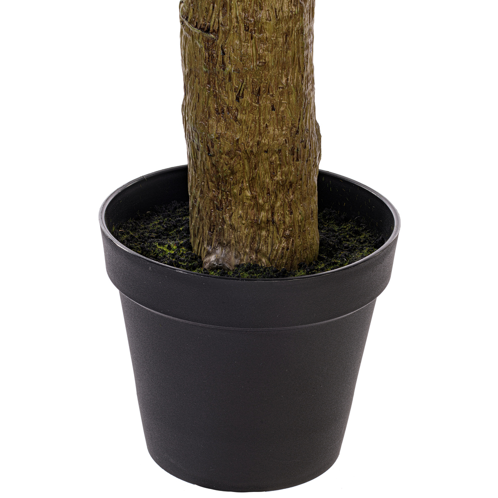 Vickerman Yucca Tree in Plastic Pot